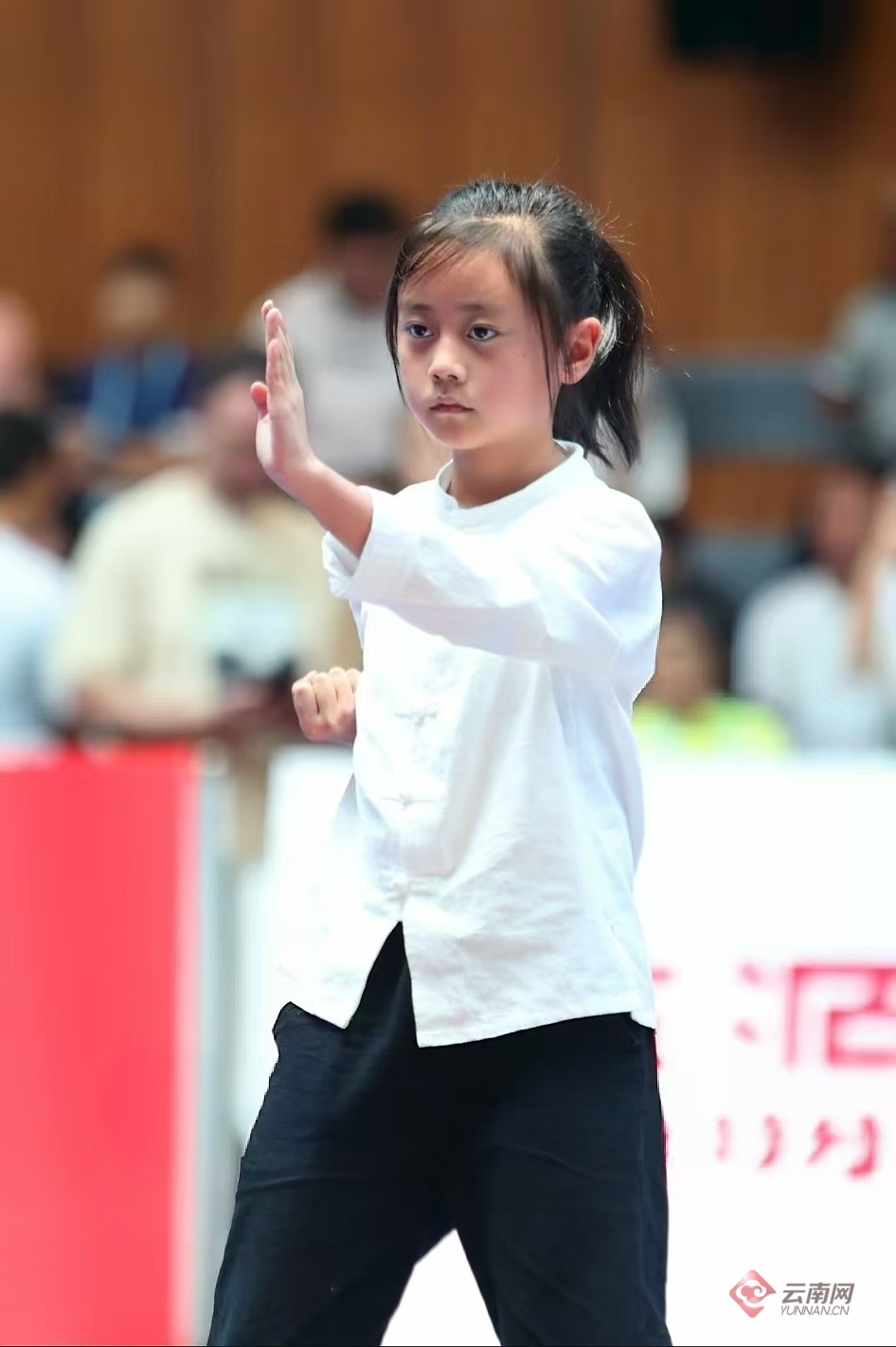 带领更多的, alt